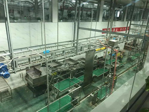 白土崗屠宰廠做好防疫檢驗工作 確保春節牛羊肉安全供應